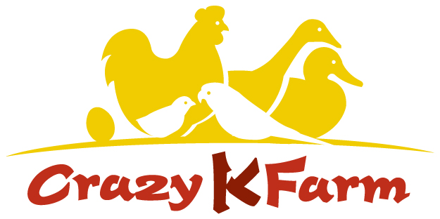 Crazy k farm kitty holster sale